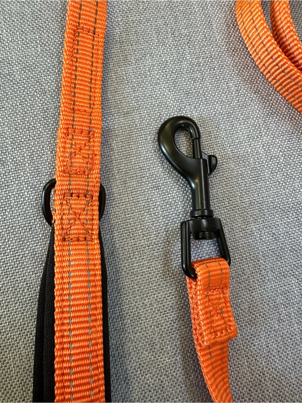 Voyager Dog Leash 6 ft